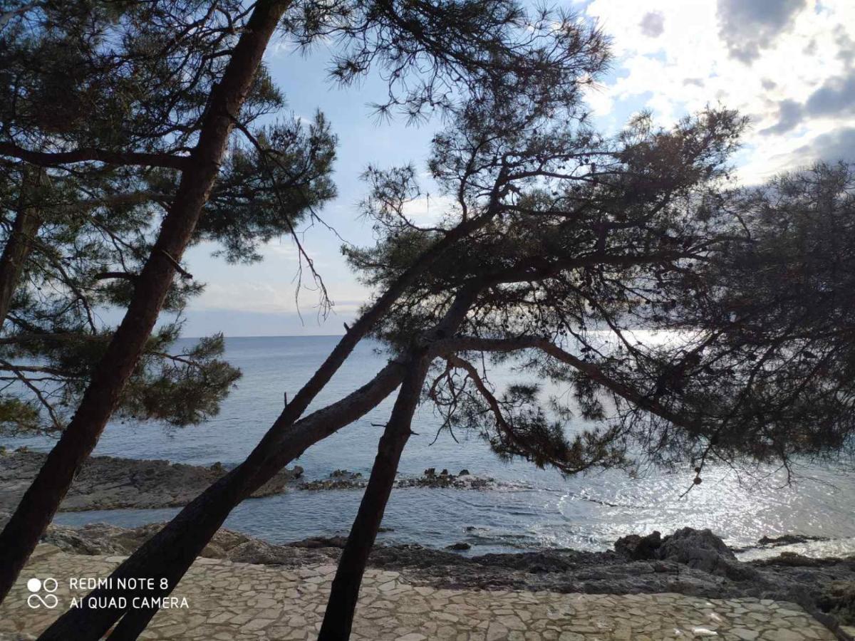 Apartments Marlen Mali Lošinj Buitenkant foto